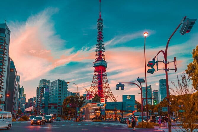 Tokyo Unlocked: A Private Day of Culture, Cuisine & City Secrets - Why a private driver makes Tokyo feel easier (and faster)