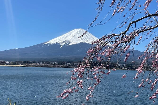 Tokyo Unlocked: A Private Day of Culture, Cuisine & City Secrets - Takeshita Street: pop culture shopping and sweet breaks