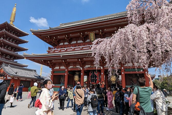 Tokyo VIP Guided Private Car Tour with Optional Airport Transfer - Key highlights that make this tour work in real life