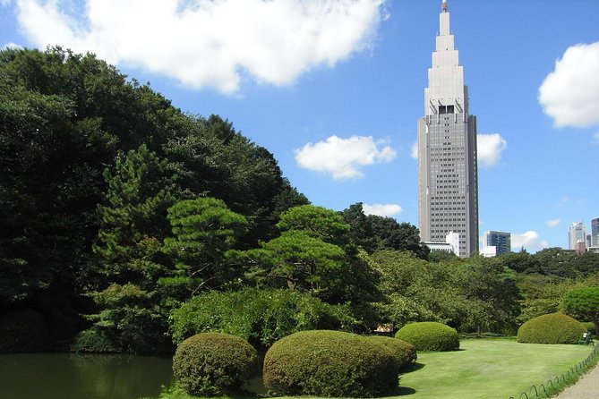 Tokyo VIP Guided Private Car Tour with Optional Airport Transfer - Senso-ji and old-town Tokyo: the temple stop that anchors the day