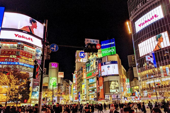 Tokyo VIP Guided Private Car Tour with Optional Airport Transfer - Picking your 4 to 6 stops: how to avoid a rushed day