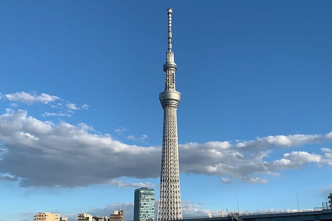 Tokyo VIP Hidden Food & Bar Night - Private Local Experience - The best way to use the photo-taking feature
