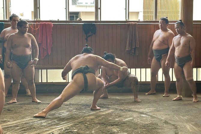 Tokyo: Visit Sumo Morning Practice with English Guide - Why a sumo stable morning beats a stadium match