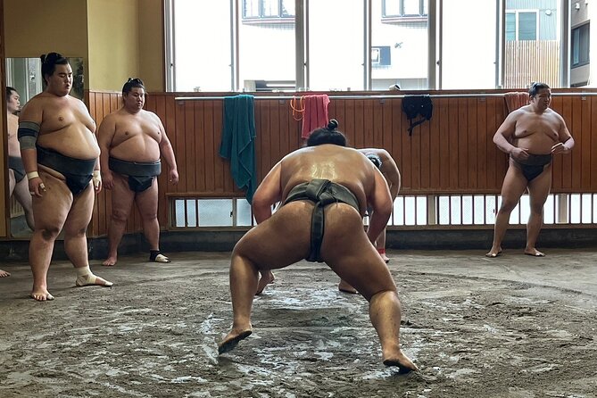 Tokyo: Visit Sumo Morning Practice with English Guide - English guide support, plus the Q and A that makes it click