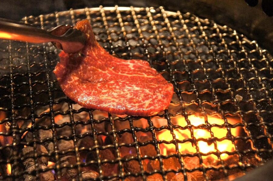 Tokyo: Wagyu and Sushi Gastronomic Journey - Kabukicho after dark: neon energy plus guided context
