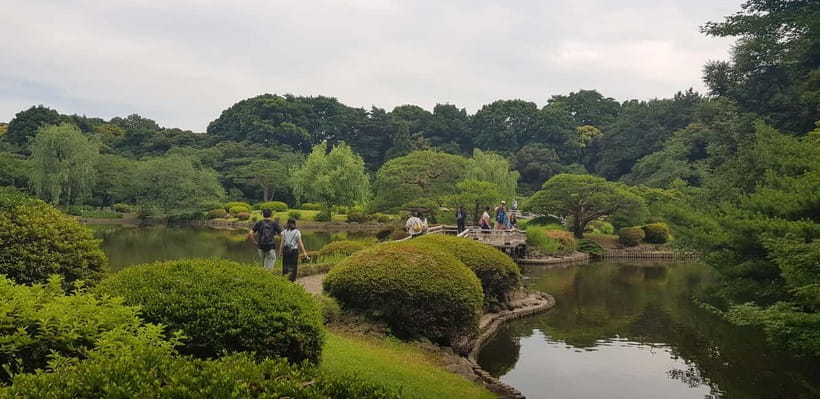 Tokyo Walk through: Shinjuku, Harajuku, Omotesando & Shibuya - Shinjuku Station energy, then Shinjuku Gyoen gardens