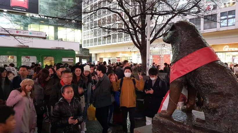 Tokyo Walk through: Shinjuku, Harajuku, Omotesando & Shibuya - What the English guide actually adds to your day