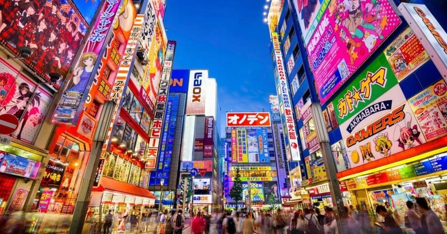 Tokyo: Winter Illuminations Private Tour with a Local - Key Highlights You Will Feel Right Away