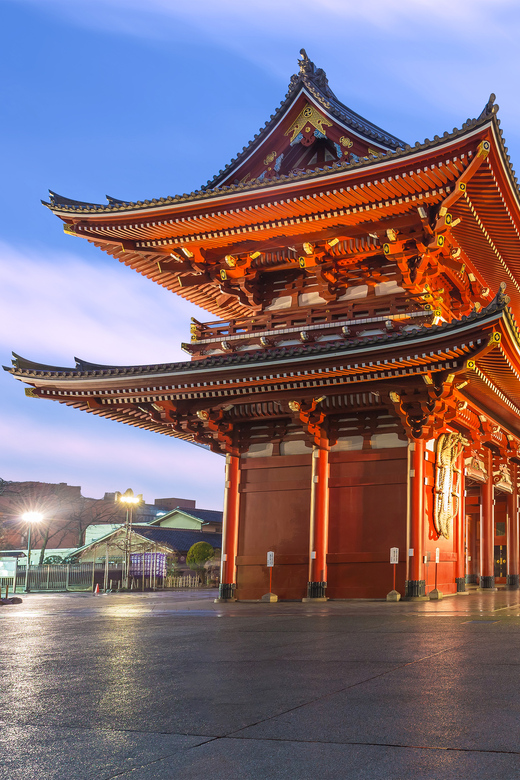 Tokyo: Winter Illuminations Private Tour with a Local - Walking Tour Logistics: Comfortable Shoes Beat Perfect Plans