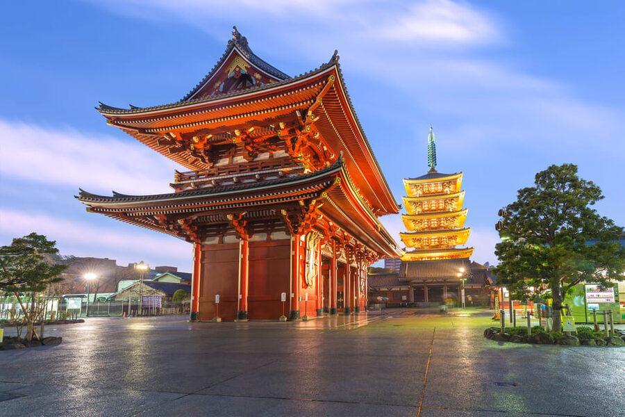 Tokyo: Winter Illuminations Private Tour with a Local - Who This Tour Fits Best