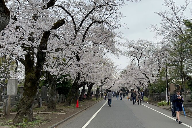 Tokyo : Yanaka and Nezu-Old Traditional Town Cultural Experience - Yanaka Cemetery: scenic Tokyo, with an unusually peaceful mood
