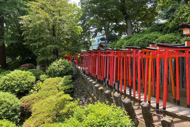 Tokyo : Yanaka and Nezu-Old Traditional Town Cultural Experience - Meeting at Nippori and keeping the day easy
