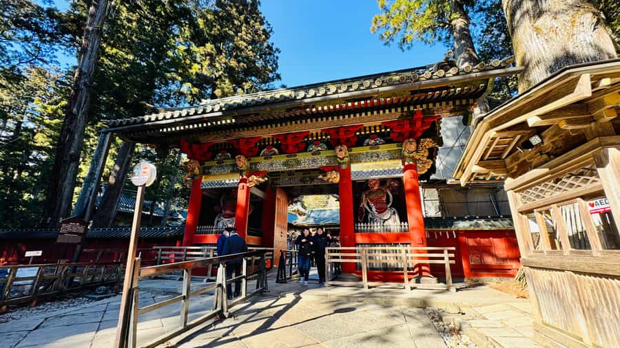 Tokyo/yokohama: Full Day Nikko Private Sightseeing Trip - Kegon Falls and red maples: where the photos match real life