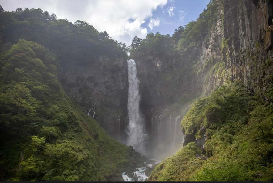 Tokyo/yokohama: Full Day Nikko Private Sightseeing Trip - Your driver-guide and the flexibility that can save the day