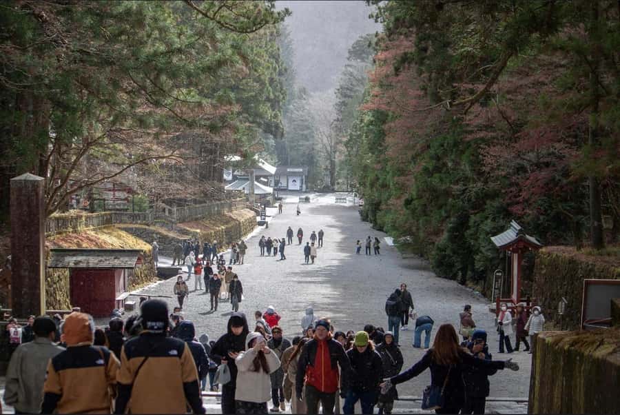 Tokyo/yokohama: Full Day Nikko Private Sightseeing Trip - The Nikko day rhythm: timing, driving time, and keeping it comfortable