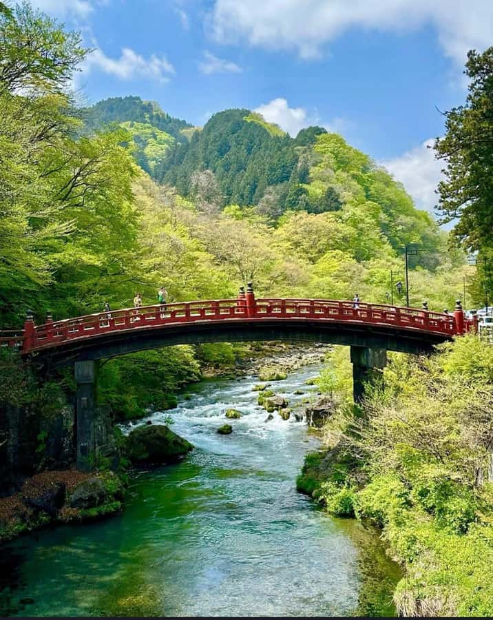Tokyo/yokohama: Full Day Nikko Private Sightseeing Trip - What you get included, and what you should budget for