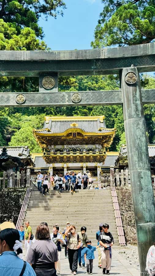 Tokyo/yokohama: Full Day Nikko Private Sightseeing Trip - Price check: $512 per group up to 6, is it good value?