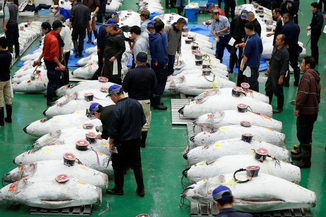 Toyosu Market Morning Tuna Auction and Tsukiji Food Tour with Licensed Guide - How the guide changes the market from chaos into a lesson
