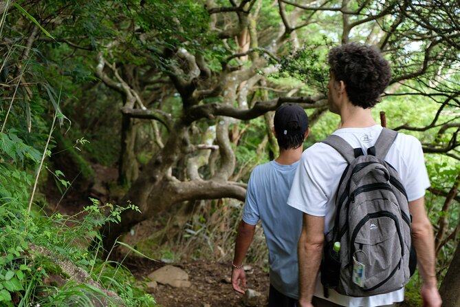 Traverse Outer Rim of Hakone Caldera and Enjoy Onsen Hiking Tour - Ridge Walk on Mt. Marudake: Where the Views Pay Off (and Fuji Plays Hide and Seek)