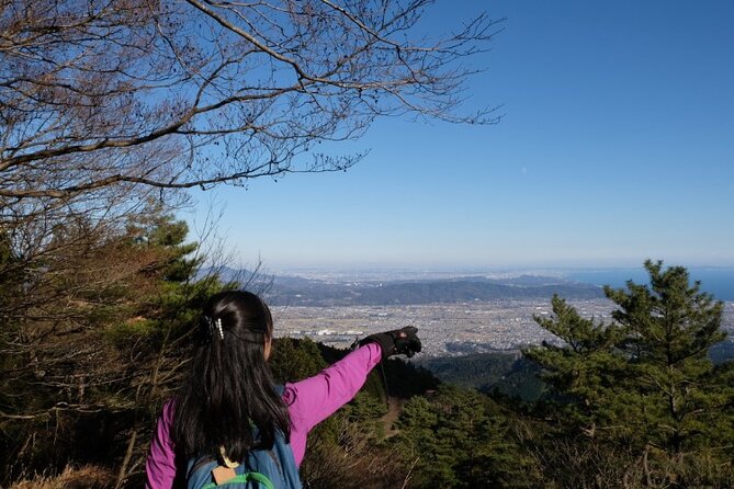 Traverse Outer Rim of Hakone Caldera and Enjoy Onsen Hiking Tour - Lunch at Togendai Station: Eat Well, Then Ease Into the Onsen