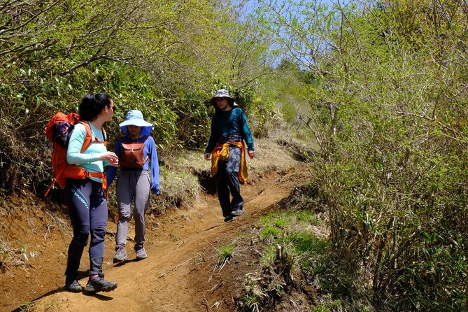 Traverse Outer Rim of Hakone Caldera and Enjoy Onsen Hiking Tour - Onsen Recovery at Togendai: Indoor and Outdoor Baths, Extra Planning Fee