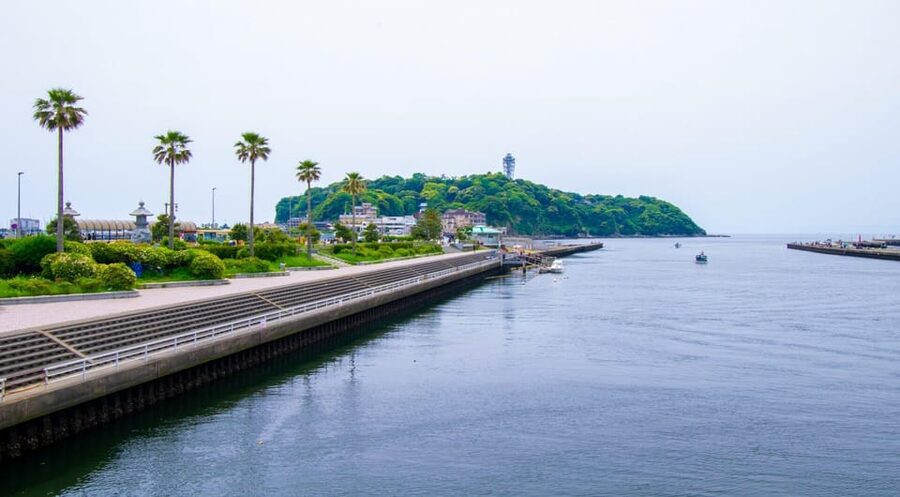 Trip to Kamakura & Enoshima: Shrines, Seaside, Temples &Tea - Kamakura’s main shopping and eating streets, plus your lunch break