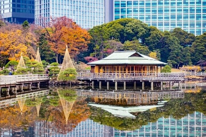 Tsukiji Food Strolling and Hama Rikyu Garden Walking Tour - Walking tour reality check: group size and pacing