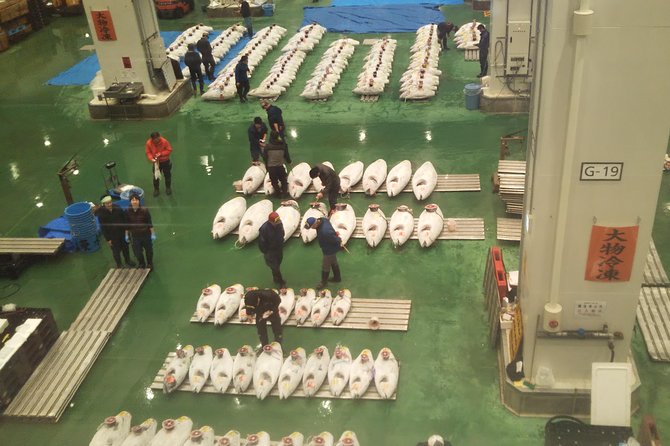 Tuna auction at Toyosu Market with qualified guide and early morning tour of Tsukiji Outer Market - Included vs Not Included: What You’re Really Paying For