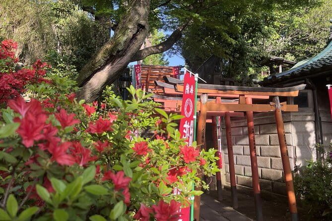 Ueno and Yanaka Culture Art Walking Tour in Old Tokyo - The National Museum of Nature and Science: where the day gets big