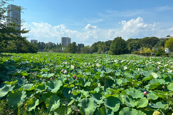 Ueno Park and Ameyoko Street Food Market Half Day Walking Tour - Shinobazu Pond and Bentendo: a reset in the middle