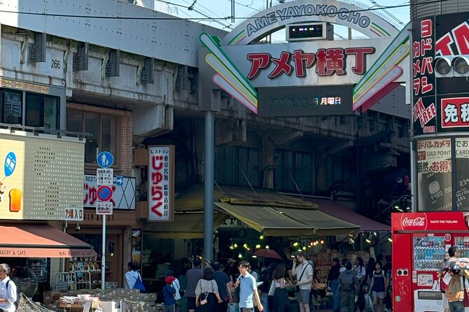 Ueno Park and Ameyoko Street Food Market Half Day Walking Tour - Group feel and the guide role: small, practical, and useful