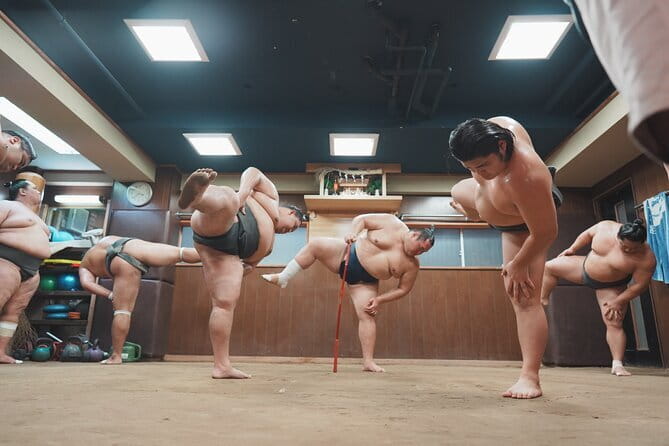 Unique Afternoon Live Sumo training tour in Tokyo - Key takeaways before you go