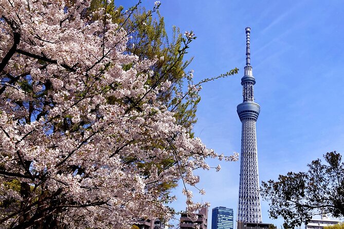 Unlock Hidden Tokyo: Private Custom Tour with a Local guide - Customization That Keeps Your Day From Feeling Like a Script