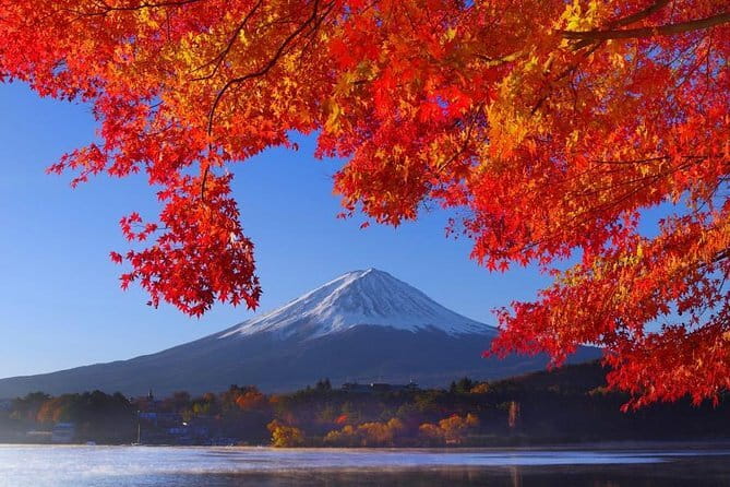 View of Mt. Fuji is good! Sushi making experience class - Inside the Classroom: Tatami-Style Calm and a Real Sushi Pro