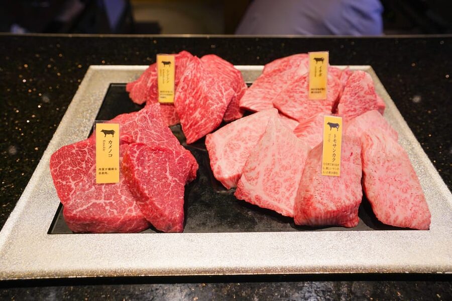 Wagyu Beef & Sake Pairing Foodie Tour in Tokyo - Pacing Tips So You Actually Enjoy Everything