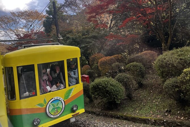 Walking Tour Mount Takao : Nature and Tradition in Tokyo - Yakuo-in Yuki-ji Temple: Tradition in a Mountain Setting