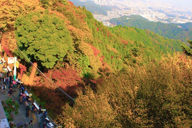 Walking Tour Mount Takao : Nature and Tradition in Tokyo - The Included Cable Car and Dango Snack: Small Perks, Big Impact