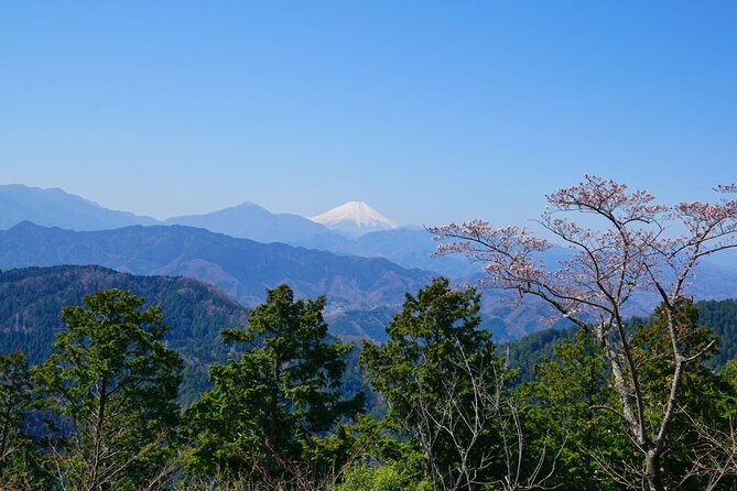 Walking Tour Mount Takao : Nature and Tradition in Tokyo - Price and Value: Why $165.13 Can Make Sense