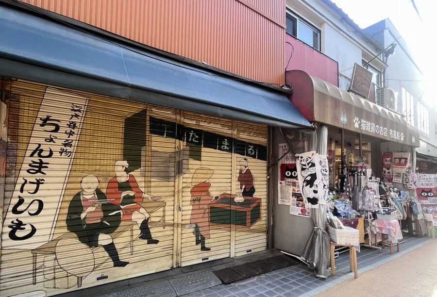 Walking Tour: Yanaka,Nezu& Sendagi: Tea Ceremony & Old Tokyo - A Secret Stop and Food Tasting: Small Bites, Real Character