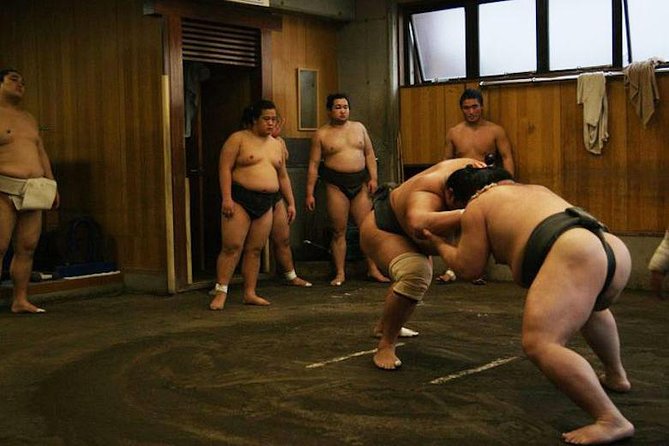 Watch Sumo Morning Practice at Stable in Tokyo - Meeting in Tokyo and finding the stable near Ryogoku Kokugikan