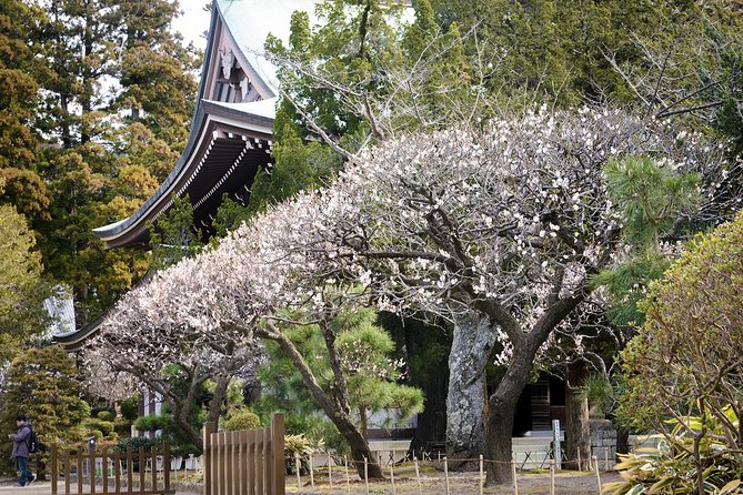 When Emperors Reigned and Shoguns Ruled - Kotoku-in Great Buddha: one of the day’s best sights, with extra cost