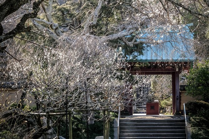 When Emperors Reigned and Shoguns Ruled - The professional photographer guide: how the photos actually happen