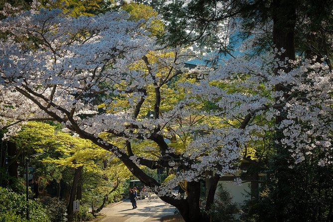 When Emperors Reigned and Shoguns Ruled - Price and value: $108.99 for a 4-hour Kamakura highlight route