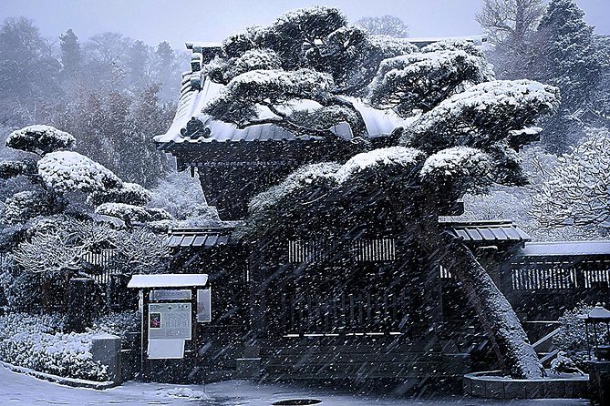 When Emperors Reigned and Shoguns Ruled - Meeting at Kamakura Station, finishing at Hase Station