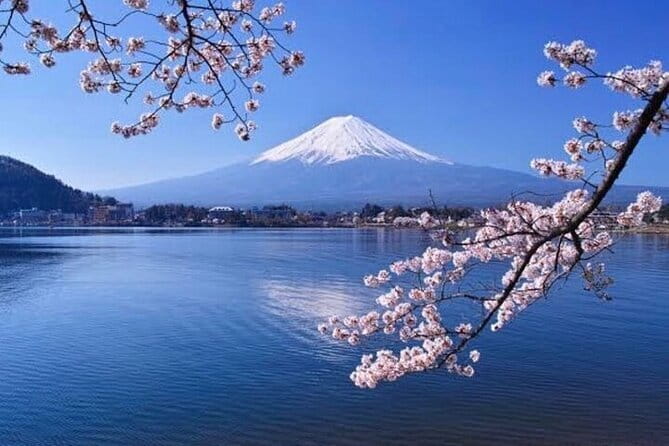 Winter Special: Clear View Mt. Fuji E-Bike Tour - Riding for real life: what guide Yasu Hasegawa brings to the day