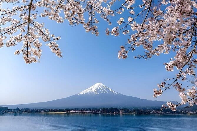 Wonderful Peaks & Peace: Mt. Fuji, Fuji Stupa & Hakone Tour - Key highlights you will actually use