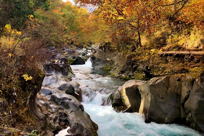 World Heritage Nikko Walking Tour Toshogu and Kanmangafuchi - Walking load, footwear, and the small stuff that can save your day