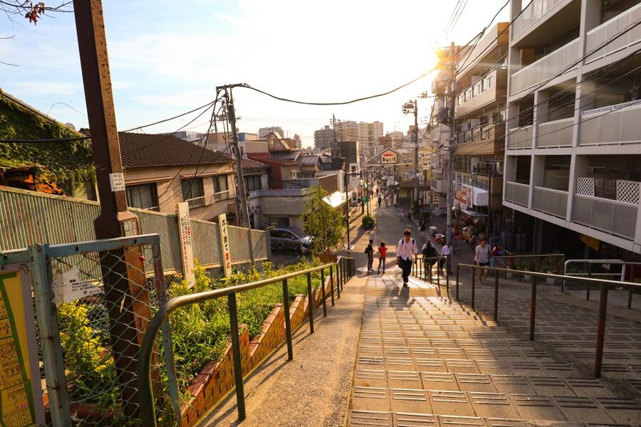 Yanaka District: Historical Walking Tour in Tokyo's Old Town - Starting at Nezu Station, the tour sets a calm pace