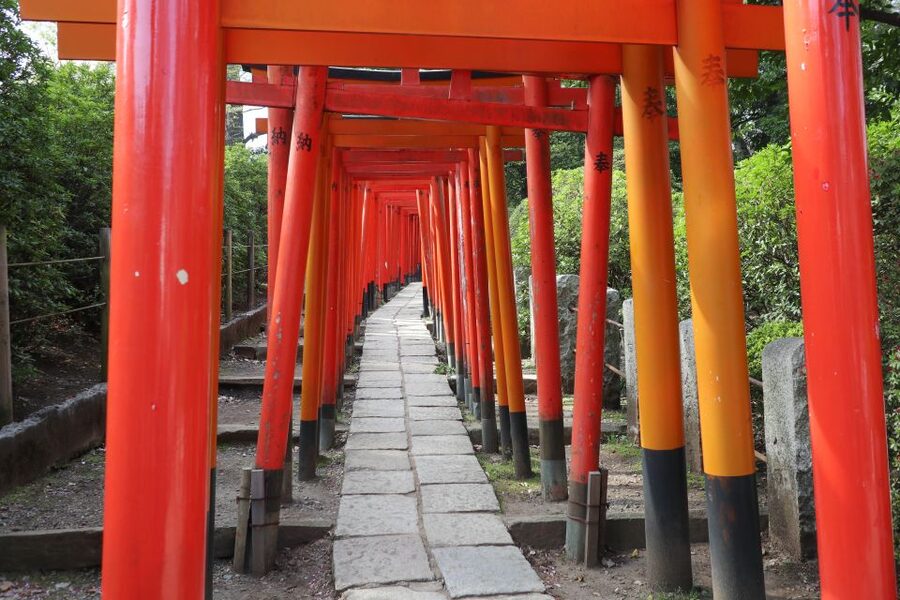 Yanaka District: Historical Walking Tour in Tokyo's Old Town - Nezu Shrine and the red torii gate photo moment