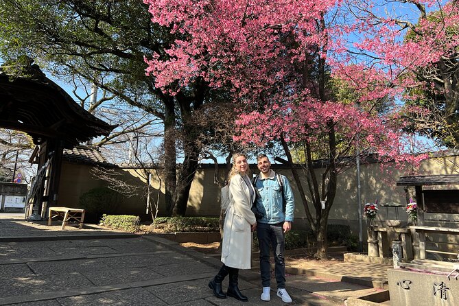 Yanaka Walking Tour: Historic and Traditional District of Tokyo - Yanaka Cemetery: the reflective segment worth planning for